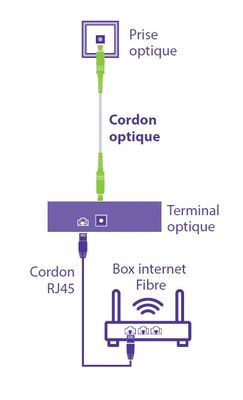 Câble fibre optique pour box SFR, Orange, Bouygues SC/APC-SC/APC 3 m monomode - SEDEA