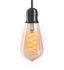 Ampoule Filament LED ST64 Edison 4 W = 300 lumens blanc chaud XANLITE