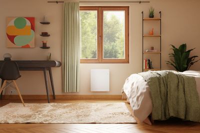 Radiateur à inertie sèche fonte WALTER II 1000W blanc NOIROT